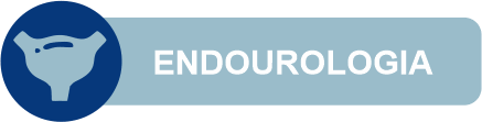 Endourologia